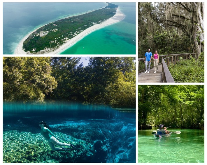 Von smaragdgrünen Quellen bis zu geschützten Küstenlandschaften: Floridas authentische Naturerlebnisse entdecken
