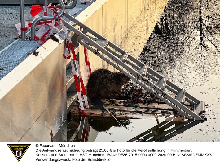 FW-M: Wochenendrückblick der Feuerwehr München für den 6. bis 8. März 2026