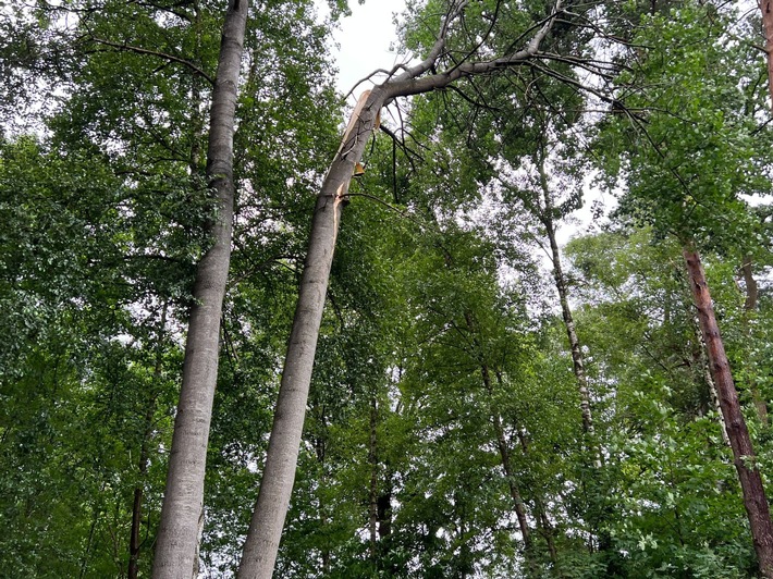 FFW Schiffdorf: Sturmtief ,,Poly