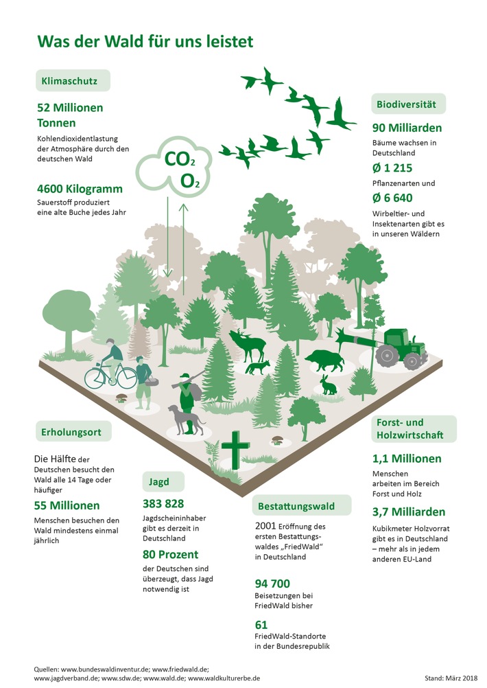 Am 21. März ist Internationaler Tag des Waldes / In Deutschland erfüllt der Wald die unterschiedlichsten Funktionen: von Erholungsort bis Bestattungswald