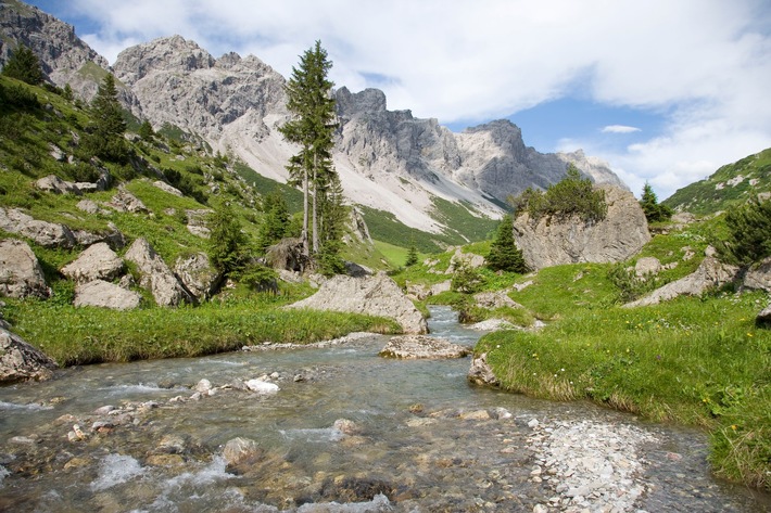 Den Sommer erwandern im Biosphärenpark Großes Walsertal - BILD