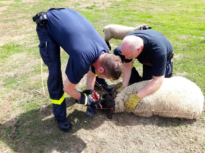 FW-Dorsten: Einsatzbilanz 20.07.2017/21.07.2017.