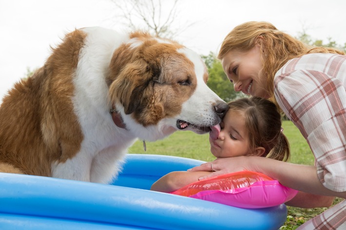 BAILEY - EIN HUND KEHRT ZURÜCK / Ab 13. Juni 2019 im Kino