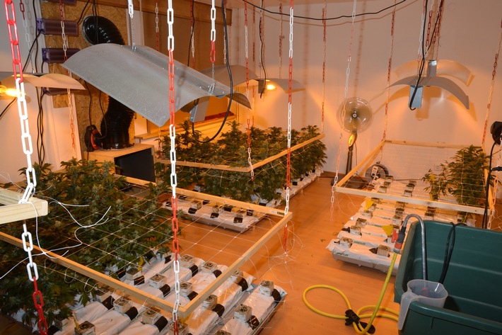 POL-NOM: Professionelle Indoorplantage in Doppelhaus betrieben