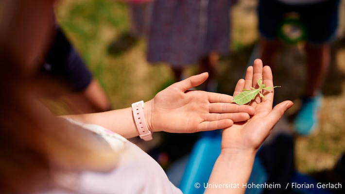 Neuer Film zum Insektensterben: Uni Hohenheim bringt Wissenschaft ins Klassenzimmer