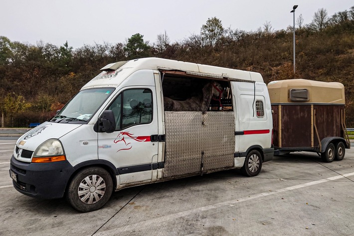 POL-LDK: Wetzlar- Polizei kontrolliert Pferdetransporter und leitet mehrere Strafverfahren ein