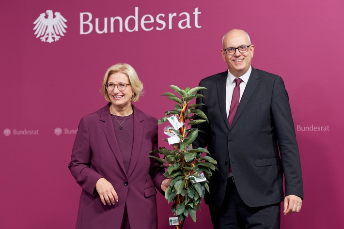 Ein Apfelbaum auf Reisen