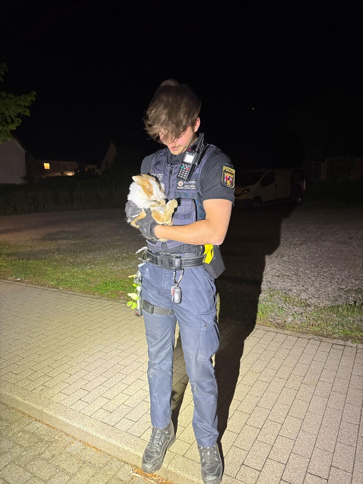 POL-PDPS: Tierischer Einsatz am Wochenende