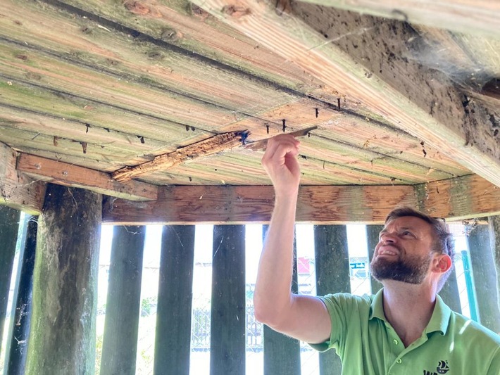 7-Jähriger will Spielplatz-Tester werden – und zeigt, warum Kontrollen so wichtig sind