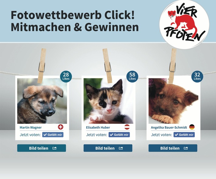 Starfotograf Manfred Baumann holt für VIER PFOTEN Promis vor die Linse / Internationales Fotoprojekt Click! inszeniert "Mehr Menschlichkeit für Tiere" (BILD)