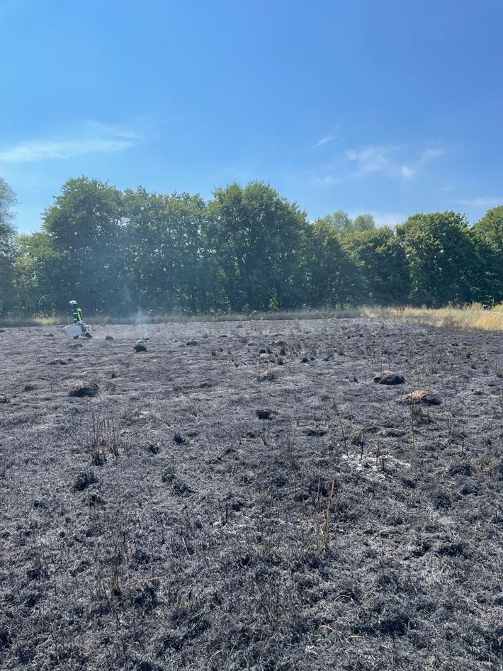 FW-Schermbeck: Flächenbrand an der Maassenstraße