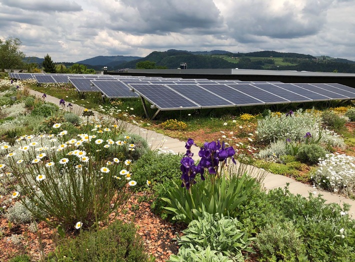 Solarenergieanlagen und Dachbegrünung – Doppelt nachhaltig