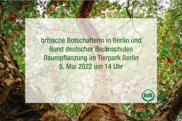 The Queen&#039;s Green Canopy: Gemeinsame Baumpflanzung der britischen Botschafterin in Deutschland und des Bund deutscher Baumschulen im Tierpark Berlin