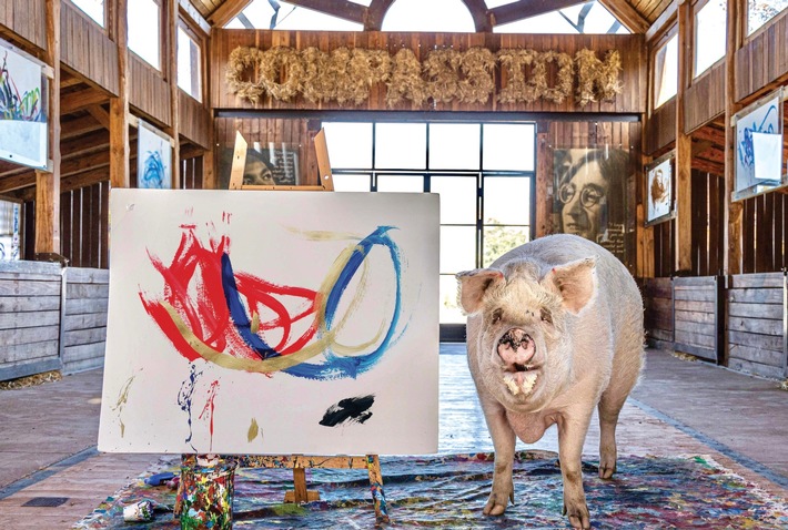 Hann. Münden: Pigcasso -die größte Künstlerin der Welt stellt im kleinsten Museum der Welt aus