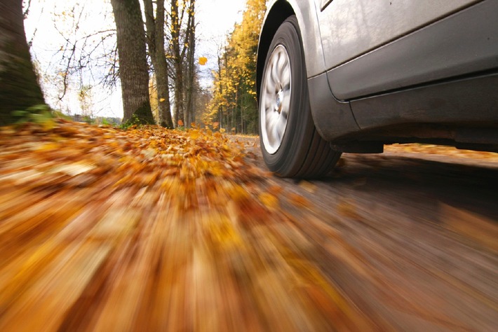 Herbsttauglich: Worauf Autofahrer jetzt achten sollten (BILD)