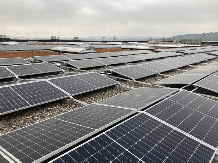 Lidl Suisse : une nouvelle installation solaire à Weinfelden / La plus grande installation solaire en Thurgovie