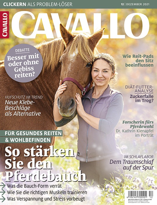 Wenn Pferde vor Übermüdung plötzlich zusammenklappen: Cavallo auf Spurensuche im Schlaflabor
