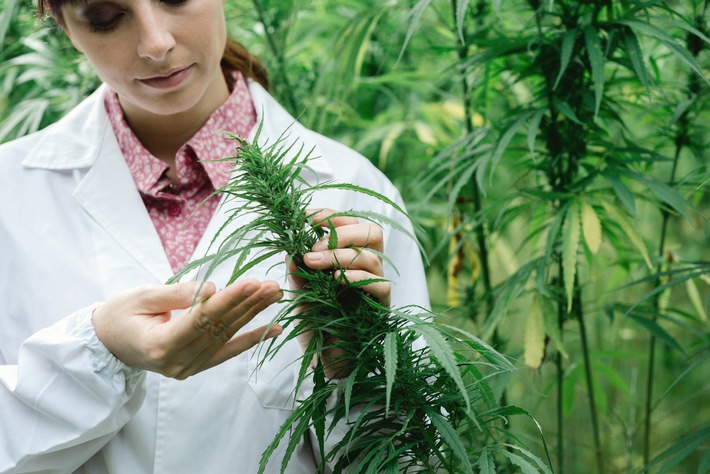 Patienten bei Cannabis-Anwendung nicht im Stich lassen