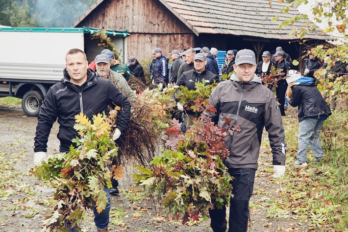 +++ Pressemeldung: Melle Gallhöfer zieht positive Zwischenbilanz für Holzkampagne BAUMZEIT +++