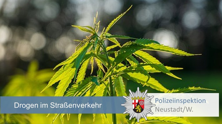 POL-PDNW: Neustadt/Wstr.: Fahrt unter dem Einfluss von Drogen - Marihuana sichergestellt