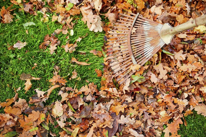 Die Nützlinge von morgen: Artenvielfalt auch im Winter fördern