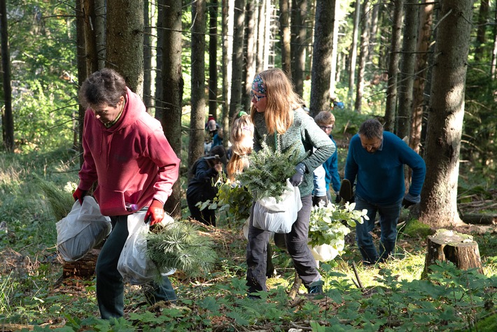 Große Pflanz-Aktion mit dem Bergwaldprojekt e.V. und 70 Freiwilligen in Bayrischzell am 15.10.