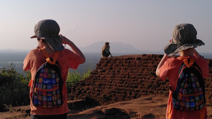 IMG_20240318_171626 (1).jpg