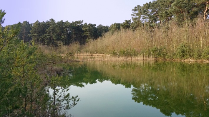 Naturerbefläche Arsbeck jetzt im Eigentum der DBU