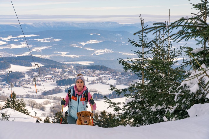 Schneeschuhtour Bayerischer Wald mit Hund(c)Tourismusverband Ostbayern_Woidlife-Photography.JPG