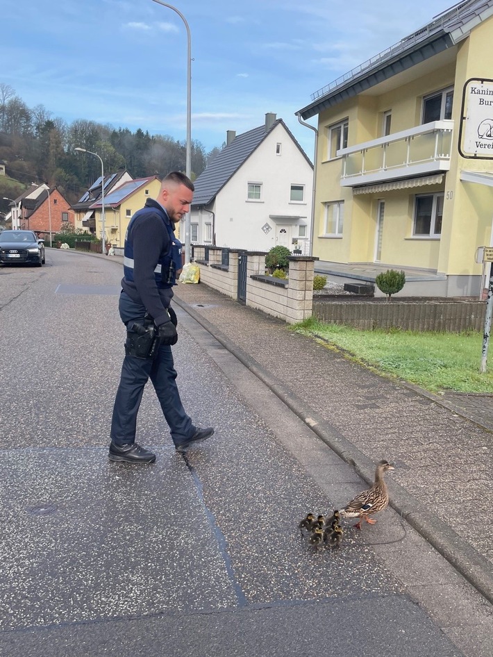 POL-PDPS: Drei Leben gerettet - Ente gut, alles gut!