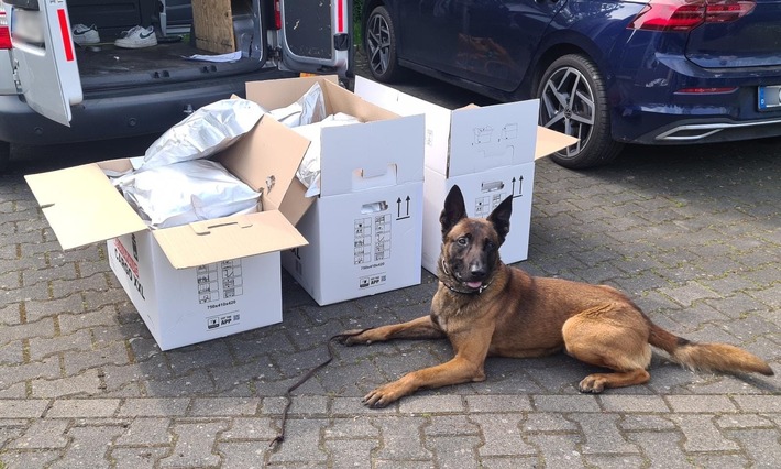 POL-MG: Drogenfund bei Verkehrssicherheitskation: Polizeihund Bane findet 20 Kilo Marihuana