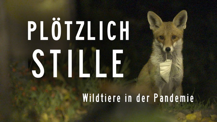 MDR-Koproduktion „Plötzlich Stille – Wildtiere in der Pandemie“ im Ersten