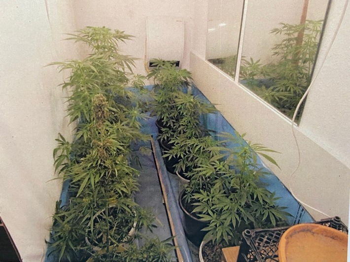 POL-ME: Cannabisplantage in Wohnung entdeckt - die Polizei ermittelt - Velbert - 2110006