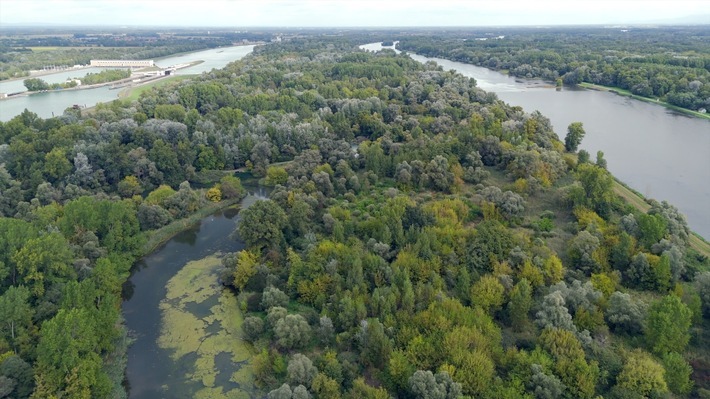 Blick auf den Rhein und die umliegende Natur / Weiterer Text über ots und www.presseportal.de/nr/177283 / Die Verwendung dieses Bildes für redaktionelle Zwecke ist unter Beachtung aller mitgeteilten Nutzungsbedingungen zulässig und dann auch honorarfrei. Veröffentlichung ausschließlich mit Bildrechte-Hinweis.