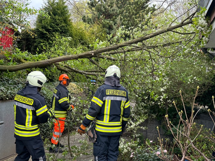 FW-EN: Baum auf Wohnhaus