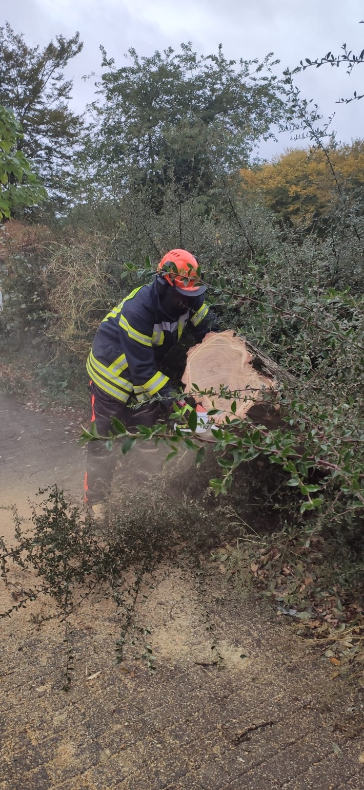 FW-OB: Erhöhtes Einsatzaufkommen bei der Oberhausener Feuerwehr durch Sturmtief "Ignatz"
