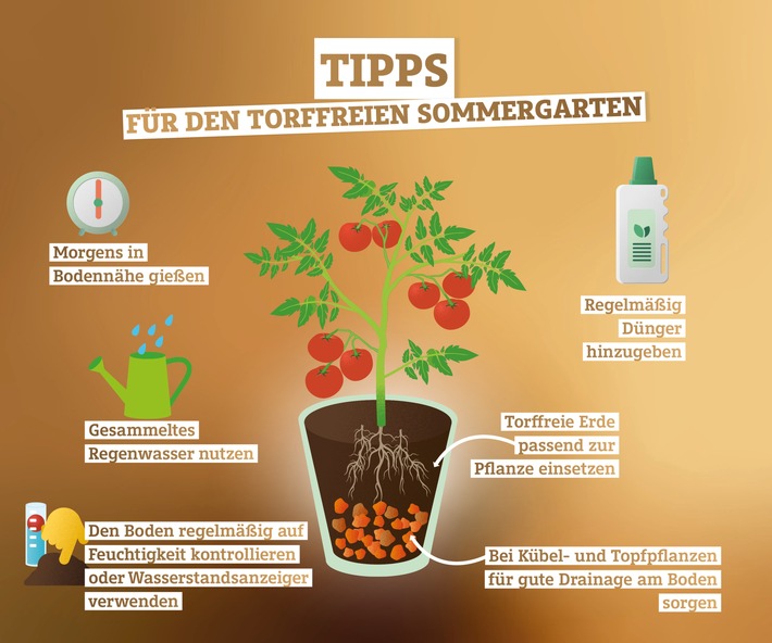 Torffrei durch den Sommer: Tipps zum nachhaltigen Gärtnern