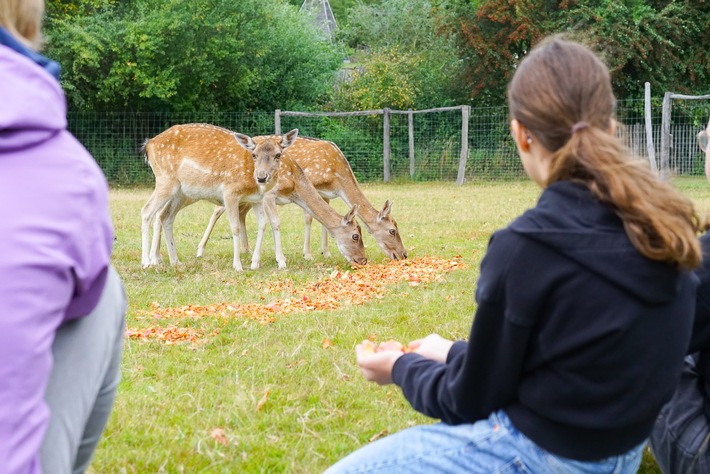Zwischen Tau und Apfelduft – Heinz Sielmann Stiftung lädt zum Streuobstwiesen-Tag von Gut Herbigshagen