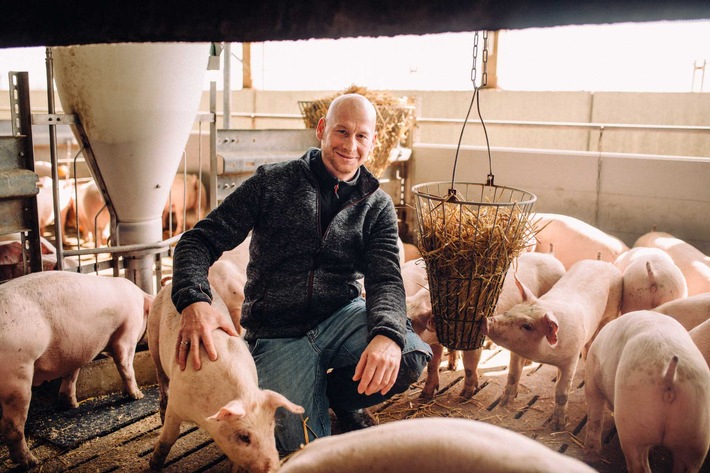 Für die deutsche Landwirtschaft: Kaufland bezieht Schweinefrischfleisch komplett aus Deutschland