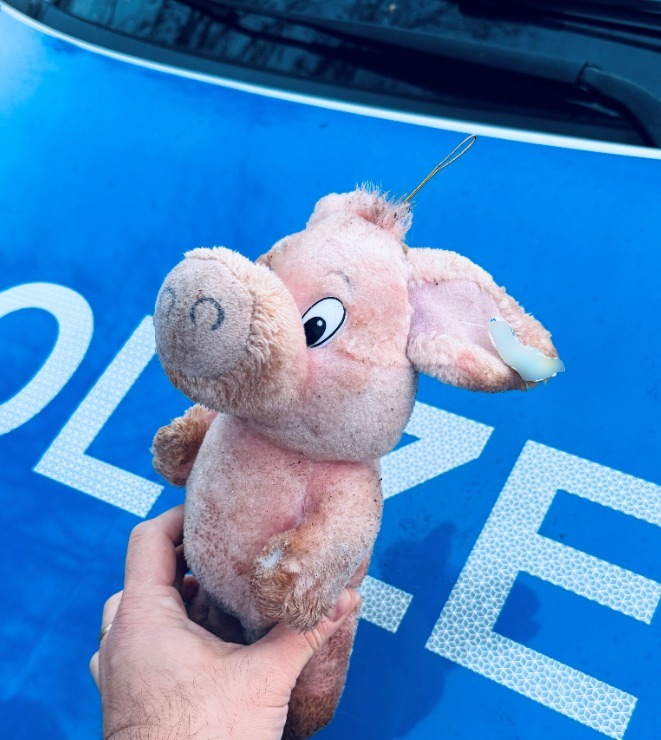 POL-HL: Zeugenaufruf: Welches Kind möchte vor Weihnachten "Schwein haben"?