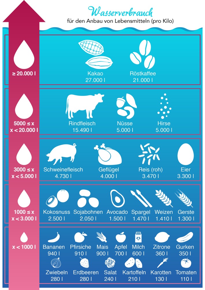 Bis zu 27.000 Liter Wasser pro Kilo: Diese Lebensmittel verbrauchen am meisten Wasser in der Herstellung