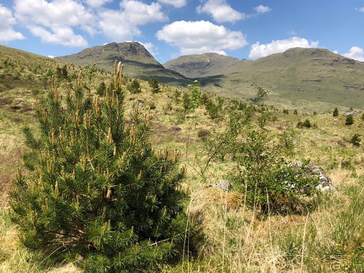 V-ZUG – Rapport sur le développement durable 2022: Un esprit pionnier et des progrès récompensés