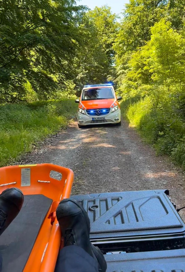 FW-EN: Mehrere Patienten erfolgreich gerettet - Verkehrsunfall an der Poststraße und Unfall im Wald