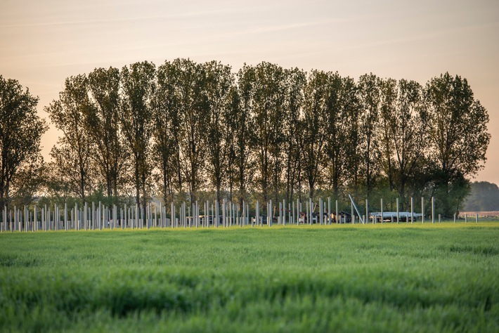 GP JOULE übernimmt technische Betriebsführung für den Solarpark Frankenförde / Auf die EPC-Leistung folgt nun auch der Service-Auftrag von PARQ energy