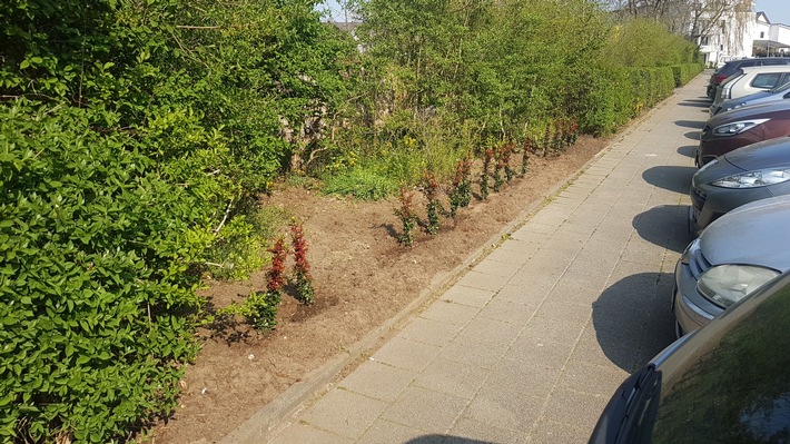 POL-OF: Pflanzendiebe auf den Friedhöfen - Baugerüst geklaut - Fußgängerin von Personenwagen erfasst