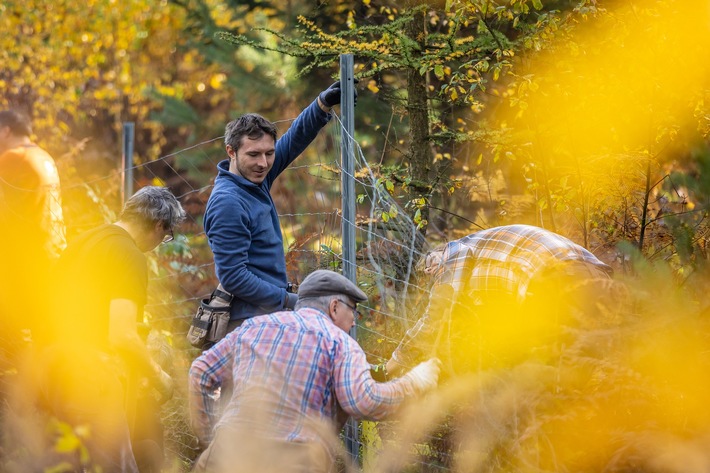 Über 20 Freiwillige mit dem Bergwaldprojekt in Rimpar am 27. September im Einsatz für den Waldschutz – noch hat es freie Plätze!
