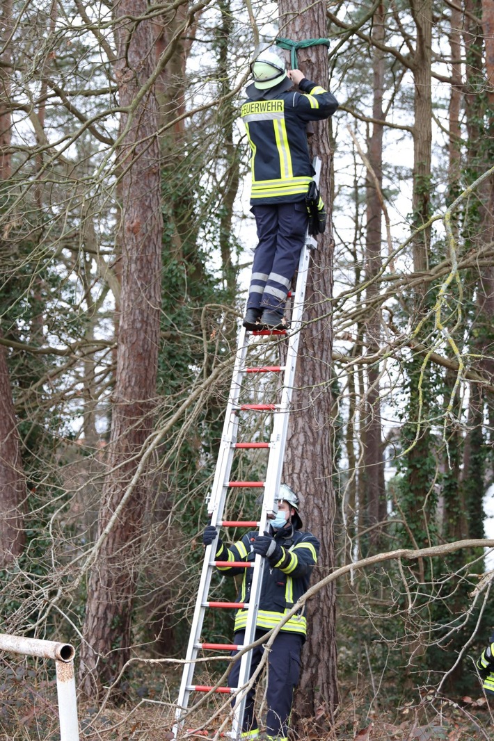 FW Celle: Westerceller Feuerwehr kümmert sich um den Naturschutz