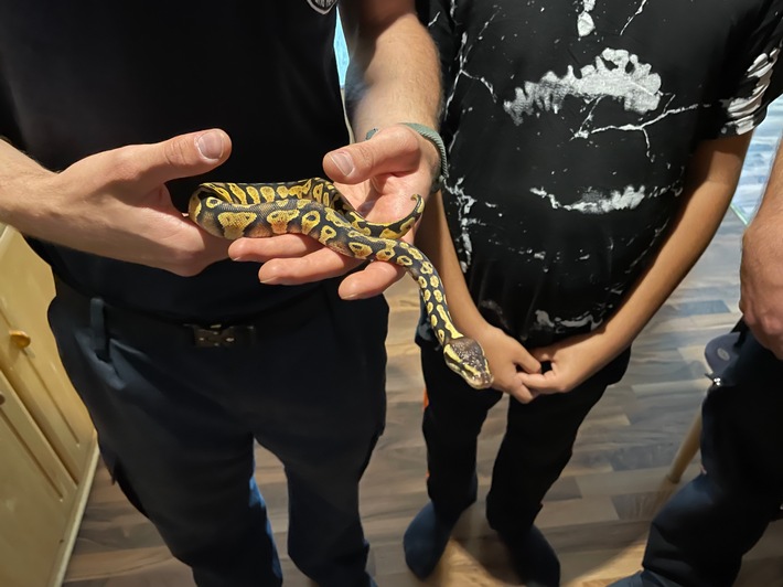 FW-BO: Reptil aus Terrarium in Bochum-Laer entkommen