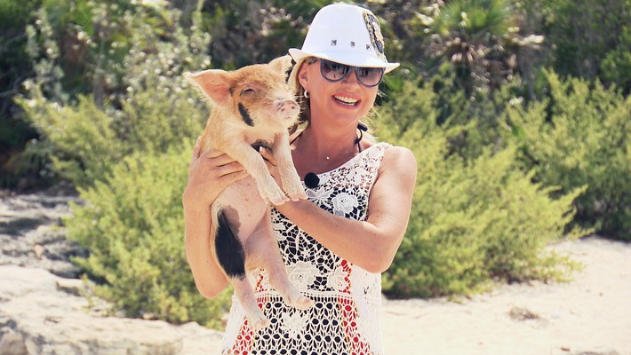 "Die Geissens": Vom Hai gebissen oder Schwein gehabt?