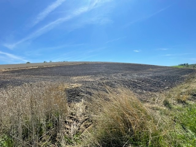 POL-PPWP: Brand eines Getreidefelds